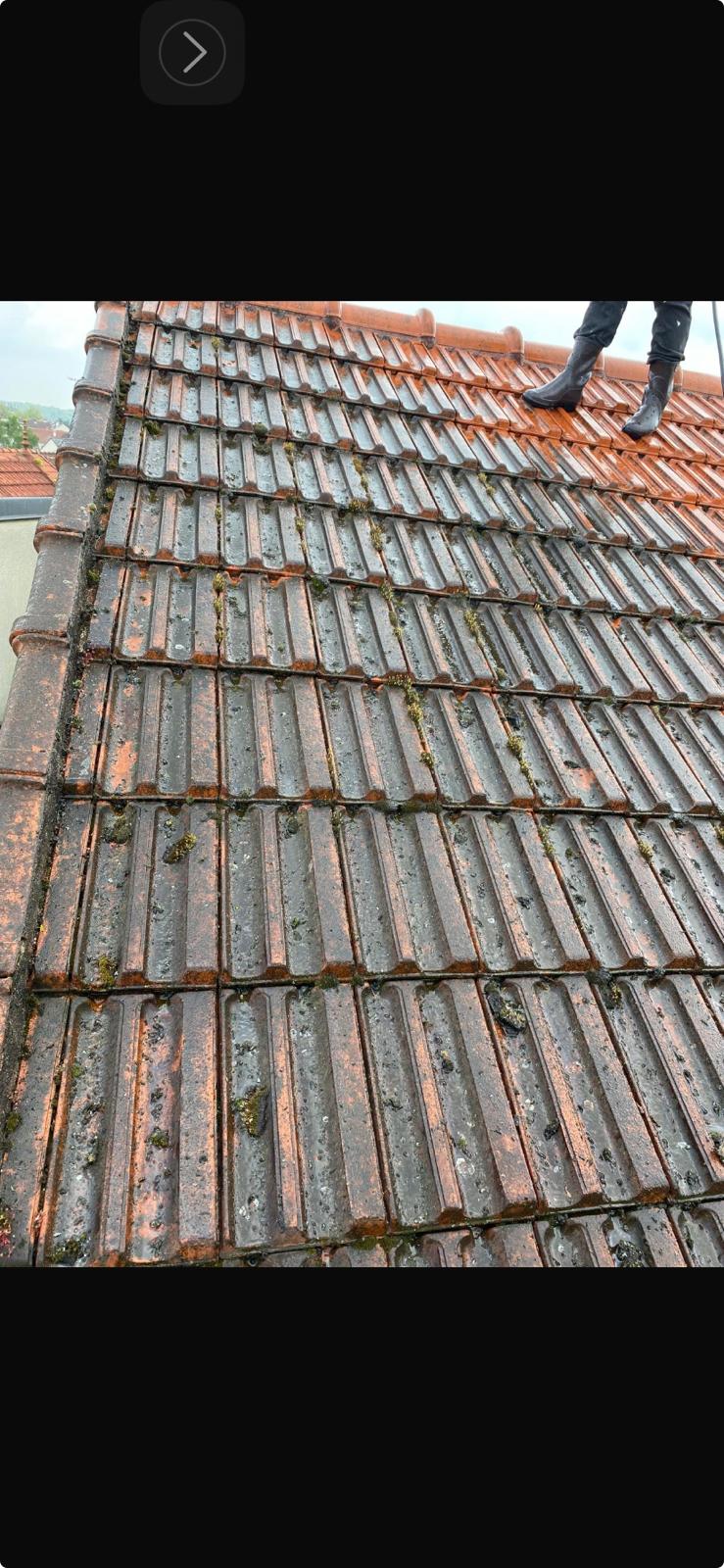 Démoussage et nettoyage d'une toiture en tuiles